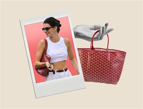 kendall jenner goyard bag|no one Goyard bag.